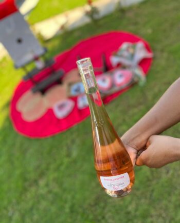 Barton & Guestier Wine